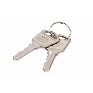 Digitus Keys for loading lockers (trolleys)