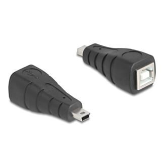 DeLOCK 67200 adattatore per inversione del genere dei cavi Mini USB USB di tipo B Nero