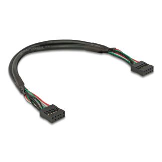 DeLOCK Cable USB 2.0 pin header female 2.54 mm 10 pin to USB 2.0 pin header female 2.54 mm 10 pin 25 cm