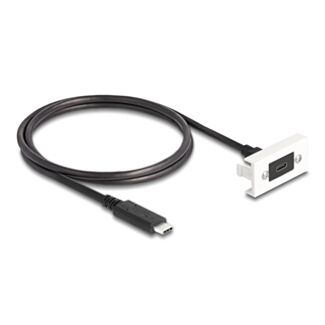 DeLOCK Modulo Easy 45 SuperSpeed USB 10 Gbps (USB 3.2 Gen 2) USB Type-C femmina per USB Type-C maschio con cavo corto, 22,5 x 45 mm