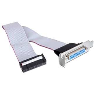DeLOCK Slotblech/Parallel Piatto