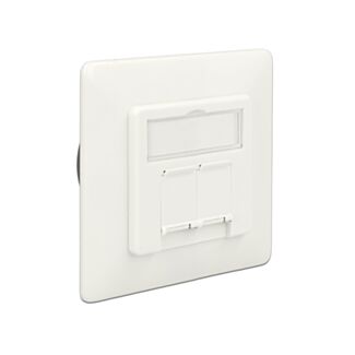 DeLOCK 86195 presa energia RJ-45 Bianco