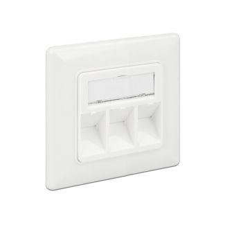 DeLOCK 86194 socket-outlet RJ-45 Silver, White
