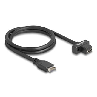 DeLOCK Cavo USB 10 Gbps Type-E chiave A 20 pin maschio per USB Type-C femmina a pannello da 70 cm