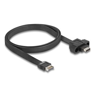 DeLOCK USB 10 Gbps cavo piatto Type-E chiave A 20 pin maschio per USB Type-C femmina a pannello da 75 cm
