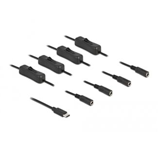 DeLOCK Cavo USB Type-C maschio per 4 x DC 5,5 x 2,1 mm femmina con interruttore 1 m