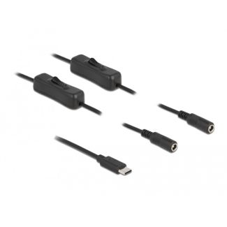DeLOCK Cable USB Type-C male to 2 x DC 5.5 x 2.1 mm female with switch 1 m