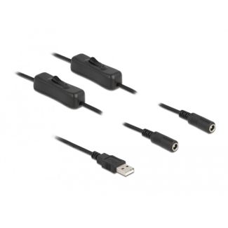 DeLOCK Cable USB Type-A male to 2 x DC 5.5 x 2.1 mm female with switch 1 m