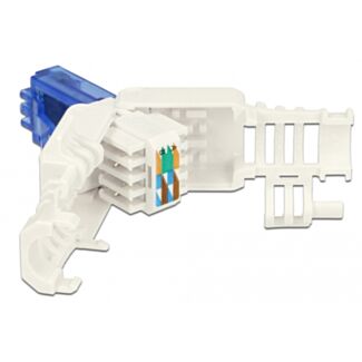 DeLOCK 86417 cavo di collegamento RJ-45 Blu, Bianco