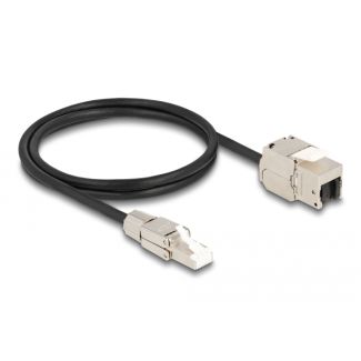 DeLOCK Cavo RJ45 maschio assemblato in campo a modulo Keystone RJ45 femmina Cat.6A da 1 m
