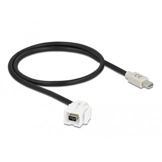 DeLOCK Keystone Module mini DisplayPort female 110° > mini DisplayPort male with cable white