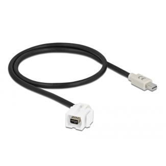 DeLOCK Modulo Keystone mini DisplayPort femmina 110° > mini DisplayPort maschio con cavo bianco