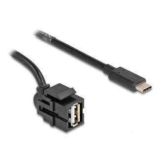 DeLOCK Keystone Module USB 2.0 A female to USB Type-C male 250° with cable 1.5 m