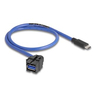 DeLOCK Modulo Keystone USB 5 Gbps A femmina per USB Type-C maschio con cavo