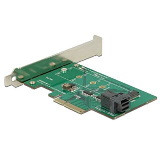 DeLOCK 89517 scheda di interfaccia e adattatore Interno M.2