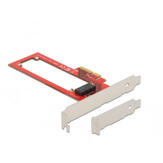 DeLOCK PCI Express x4 Card to 1 x EDSFF E1.S Slot - Low Profile Form Factor
