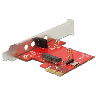 DeLOCK 89889 scheda di interfaccia e adattatore Interno M.2