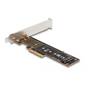 DeLOCK Scheda PCI Express x4 per 1 x NVMe M.2 Key M interno 110 mm - Fattore di forma a basso profilo