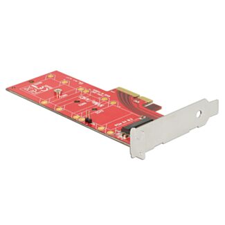 DeLOCK 89577 scheda di interfaccia e adattatore Interno M.2