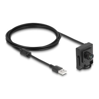 DeLOCK USB 2.0 Fotocamera 2,1 megapixel 100° a fuoco fisso