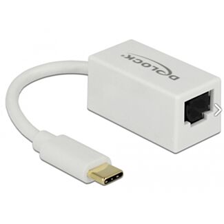DeLOCK 65906 replicatore di porte e docking station per laptop USB tipo-C Bianco