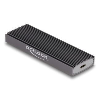 DeLOCK Custodia esterna USB Type-C Combo per M.2 NVMe PCIe o SATA SSD - senza attrezzi