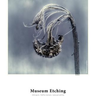 Hahnemühle Museum Etching Natural, White Matt