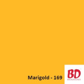 BD Background paper backdrop 2.72 x 11 m Marigold 169