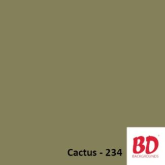 BD Background paper backdrop 1.36 x 11 m Cactus 234