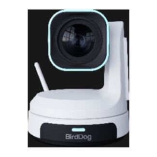 BirdDog X1 30x White BDX1-30W