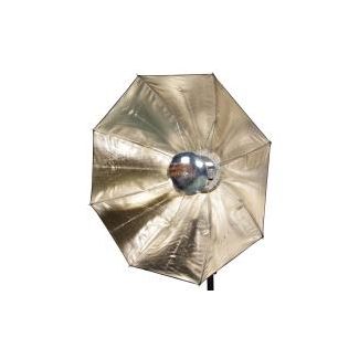 Aurora Firefly II Octa cm65 silver - gold interior rectangular head