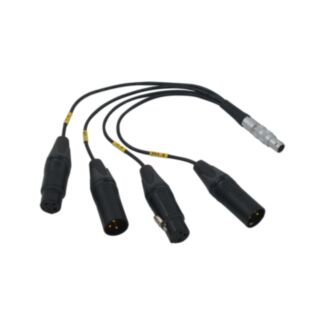 Bolin BLA-10 – Cavo breakout da LEMO 10 pin a XLR
