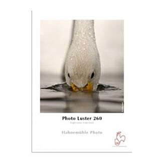 Hahnemühle Photo Luster 260 / 290 A4 Bianco Satinata