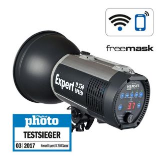 Hensel Expert D 250 monotorch