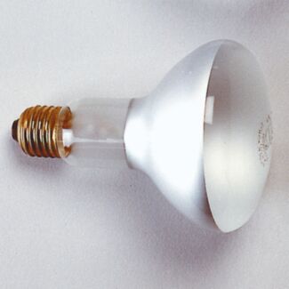 Kaiser Photoflood bulb for reflector 150W 3200°K E 27 230 V/ 50-60 Hz