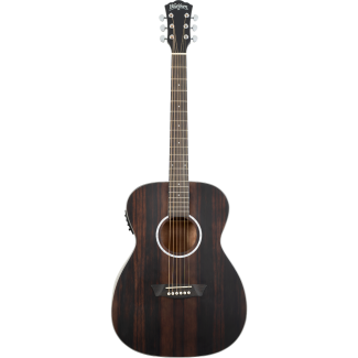 Washburn EBONY FE