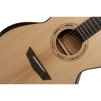 Washburn G10 SE