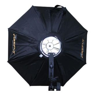 Aurora Firefly II Octa cm65 silver - gold interior round head